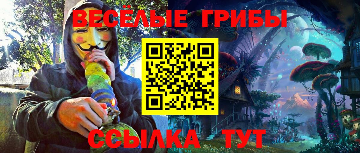 Омск  Галлюциногенные грибы Psilocybine cubensis  Вход с VPN 